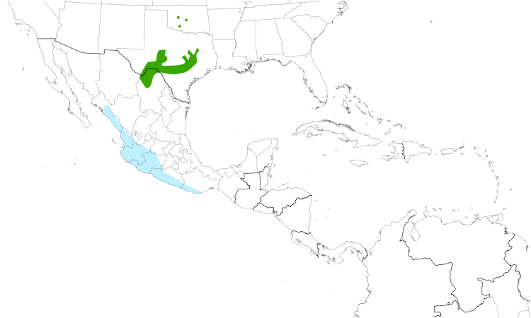 Range Map (Central): Black-capped Vireo