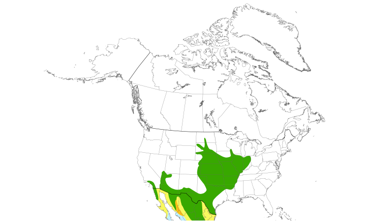 Range Map (North): Bell's Vireo