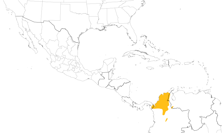 Range Map (Central): Yellow-browed Shrike-Vireo