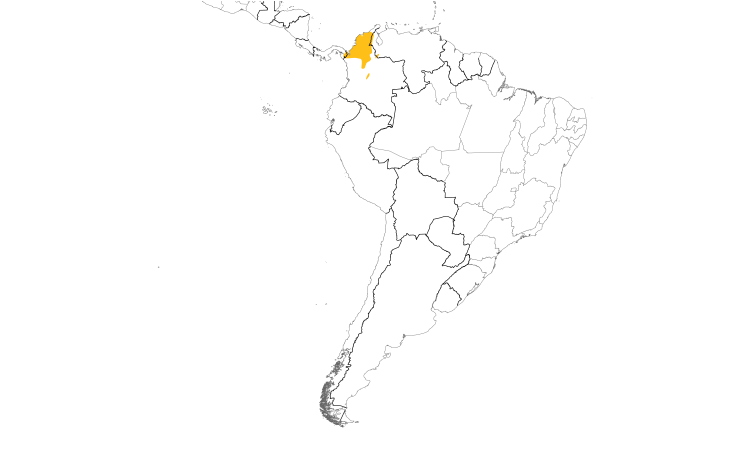 Range Map (South): Yellow-browed Shrike-Vireo