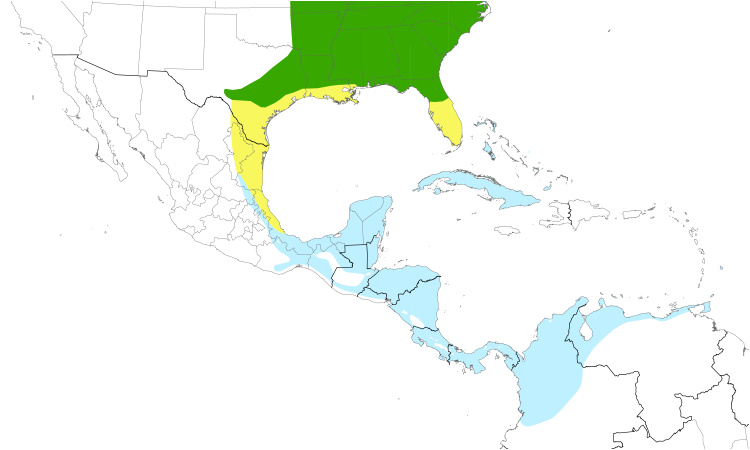 Range Map (Central): Yellow-throated Vireo