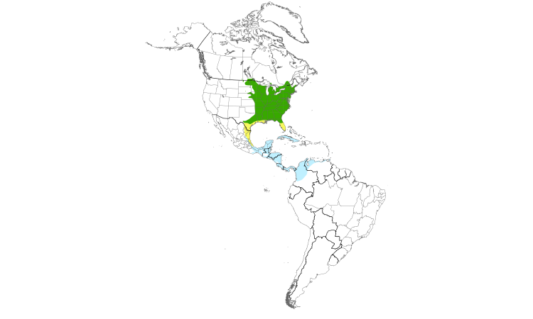 Range Map (Americas): Yellow-throated Vireo