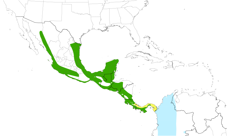 Range Map (Central): Yellow-green Vireo