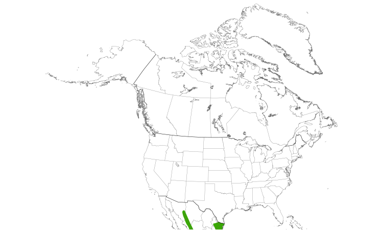 Range Map (North): Yellow-green Vireo
