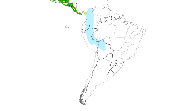 Range Map (South): Yellow-green Vireo