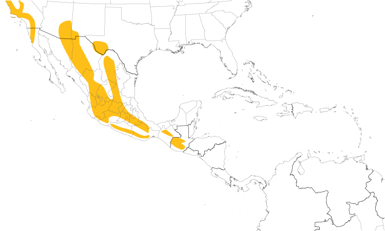 Range Map (Central): Hutton's Vireo