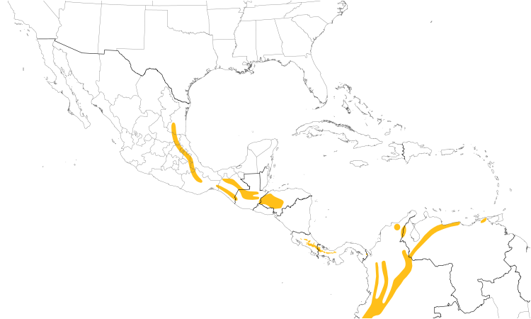 Range Map (Central): Brown-capped Vireo