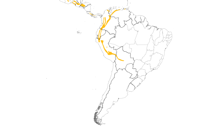 Range Map (South): Brown-capped Vireo