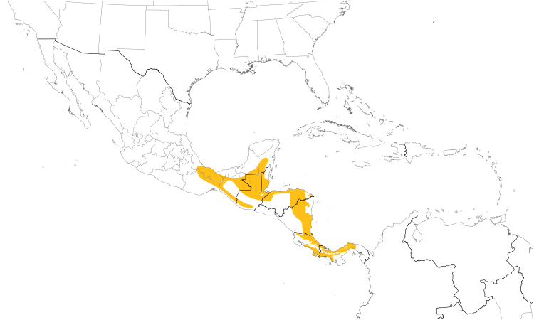 Range Map (Central): Green Shrike-Vireo