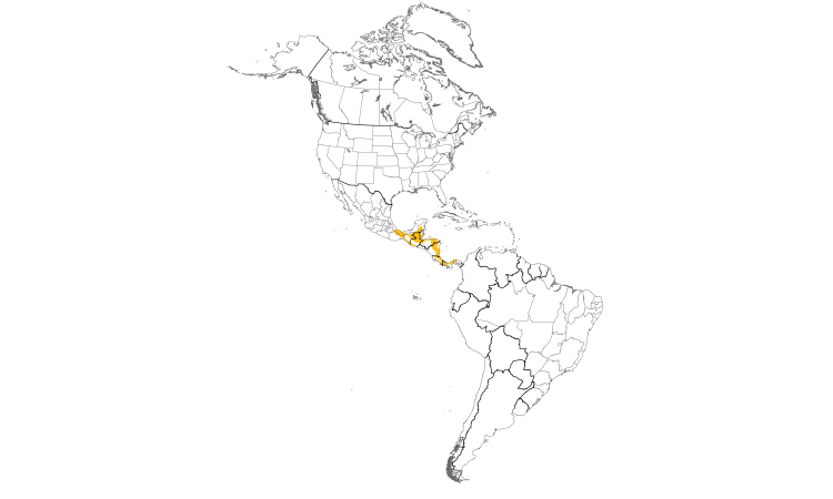 Range Map (Americas): Green Shrike-Vireo