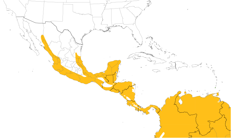 Range Map (Central): Blue-black Grassquit