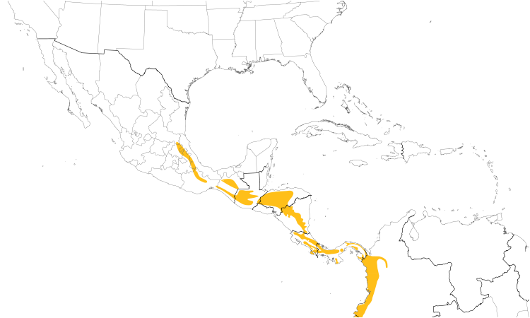 Range Map (Central): Spotted Woodcreeper