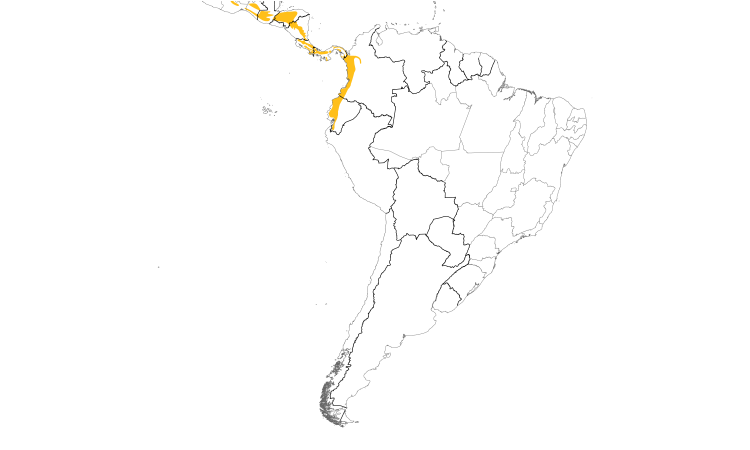 Range Map (South): Spotted Woodcreeper
