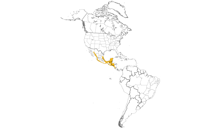 Range Map (Americas): Ivory-billed Woodcreeper