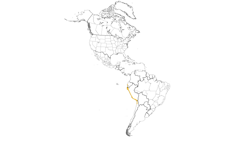 Range Map (Americas): West Peruvian Dove