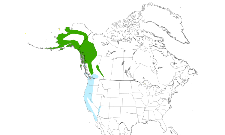 Range Map (North): Golden-crowned Sparrow