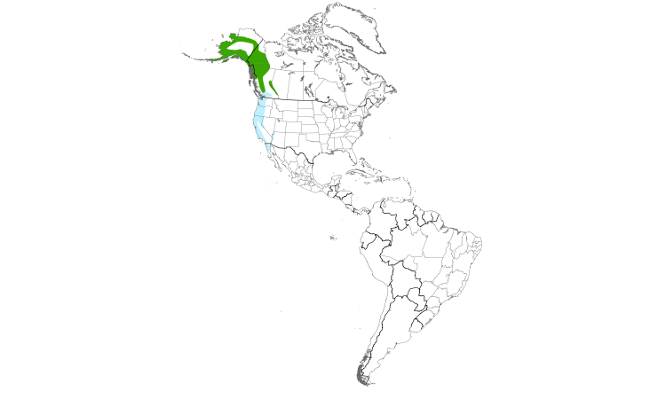 Range Map (Americas): Golden-crowned Sparrow